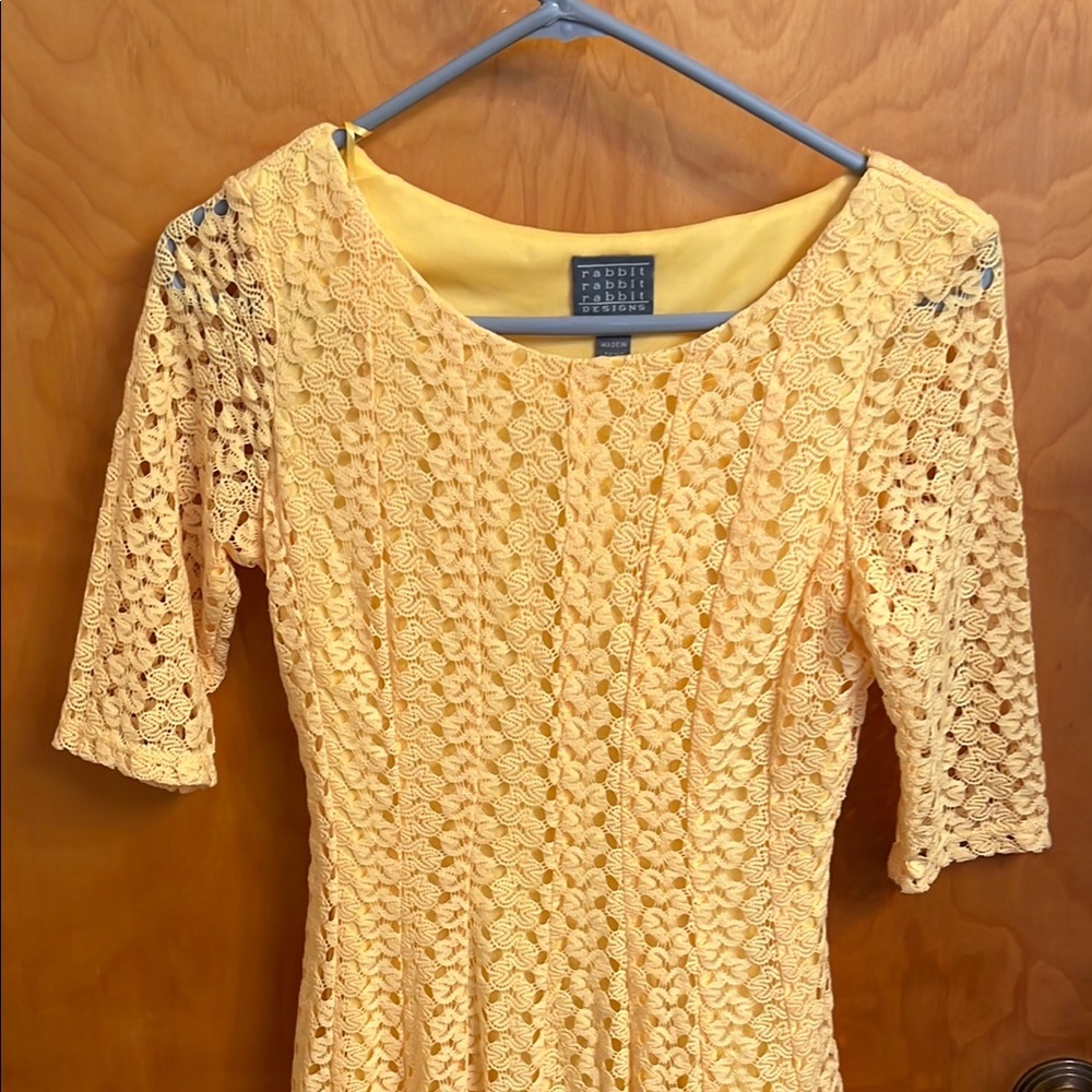 Rabbit Rabbit Rabbit Yellow Lace Dress Size 4 - Picture 2 of 6